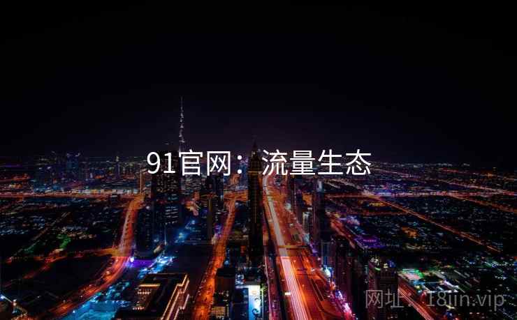 91官网：流量生态