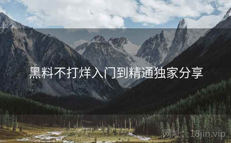 黑料不打烊入门到精通独家分享