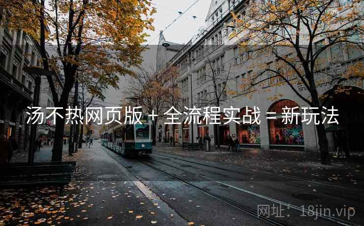 汤不热网页版 + 全流程实战 = 新玩法
