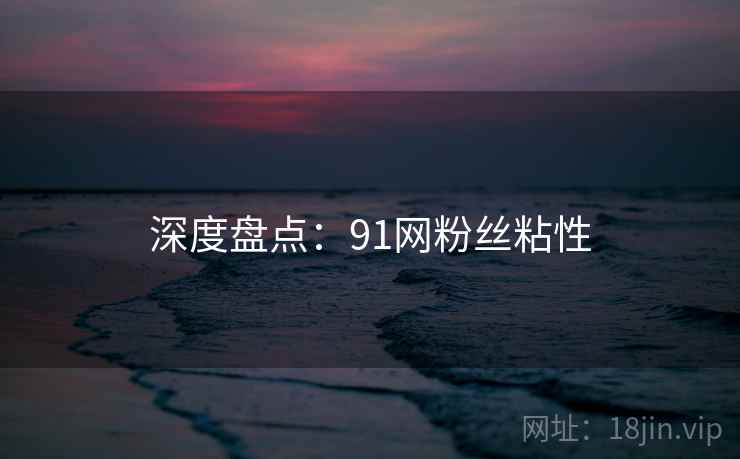 深度盘点：91网粉丝粘性