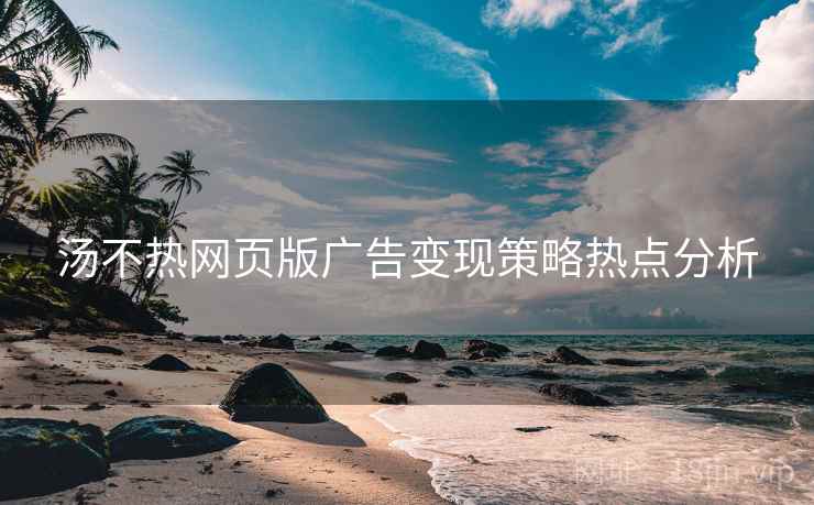 汤不热网页版广告变现策略热点分析