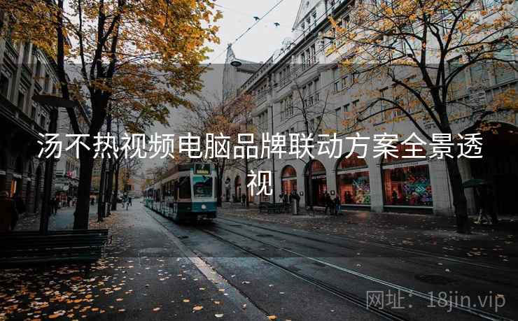 汤不热视频电脑品牌联动方案全景透视