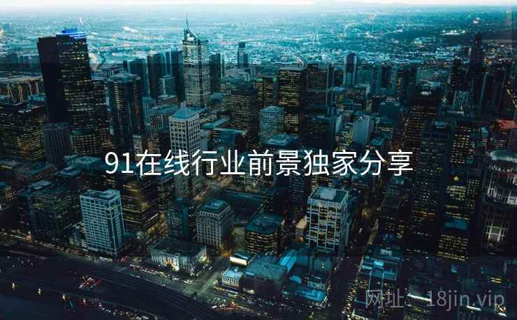 91在线行业前景独家分享